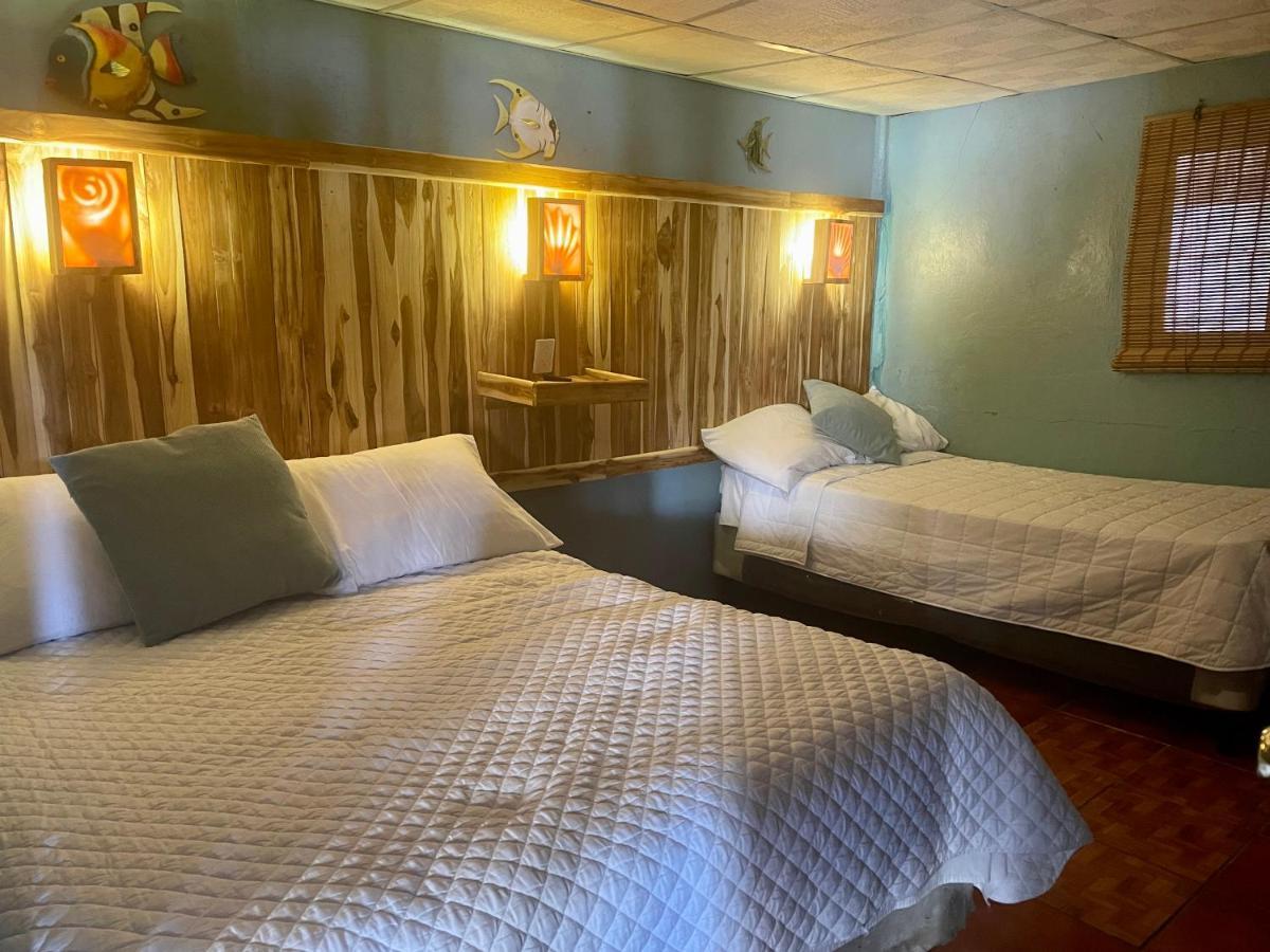 Johnnys Place Hotel モンテリコ エクステリア 写真
